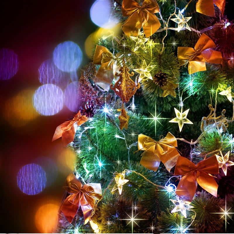 Christmas Menu